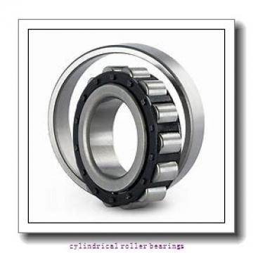30 mm x 80 mm x 21 mm  Fersa F19078 cylindrical roller bearings