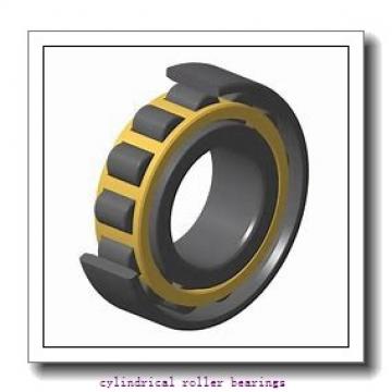 75 mm x 105 mm x 19 mm  NBS SL182915 cylindrical roller bearings
