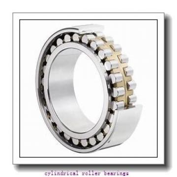 120 mm x 215 mm x 40 mm  SIGMA NJ 224 cylindrical roller bearings