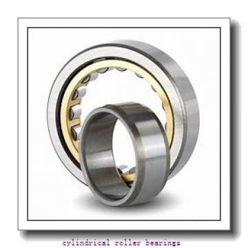 60 mm x 130 mm x 46 mm  SIGMA NJG 2312 VH cylindrical roller bearings