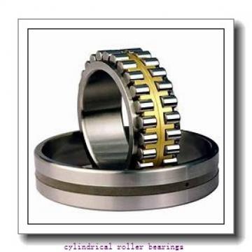 190 mm x 290 mm x 75 mm  NSK NN3038MB cylindrical roller bearings