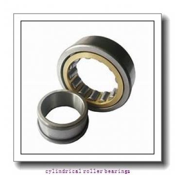 Toyana NJ204 E cylindrical roller bearings