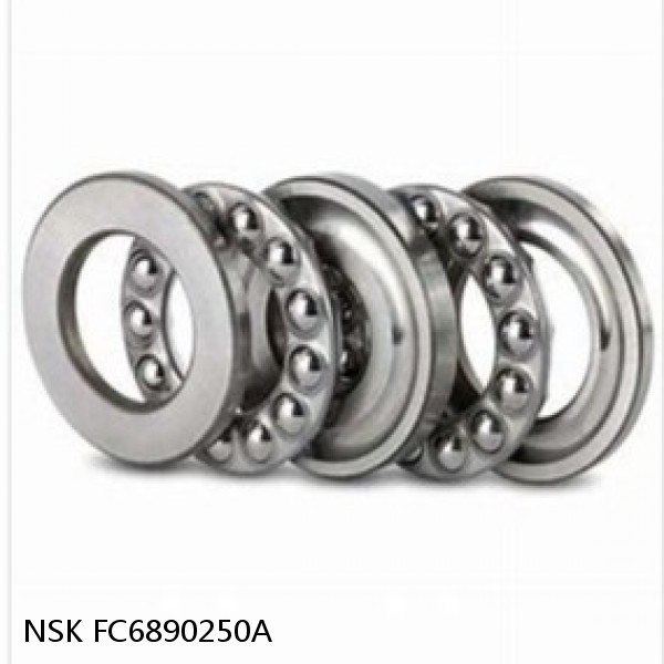 FC6890250A NSK Double Direction Thrust Bearings