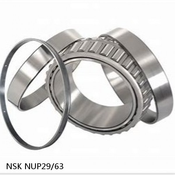 NUP29/63 NSK Tapered Roller Bearings Double-row