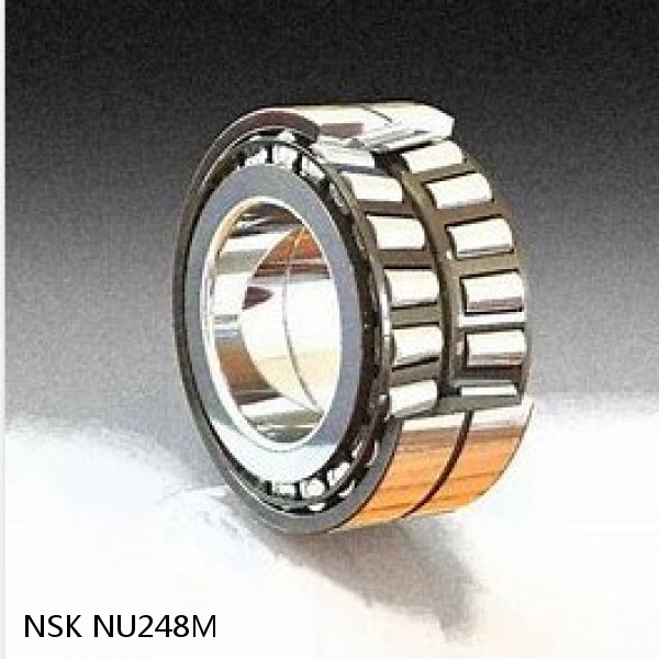 NU248M NSK Tapered Roller Bearings Double-row