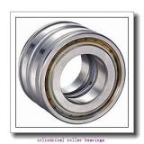 25 mm x 62 mm x 24 mm  SIGMA NUP 2305 cylindrical roller bearings