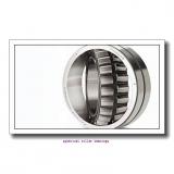 AST 24044MBK30W33 spherical roller bearings
